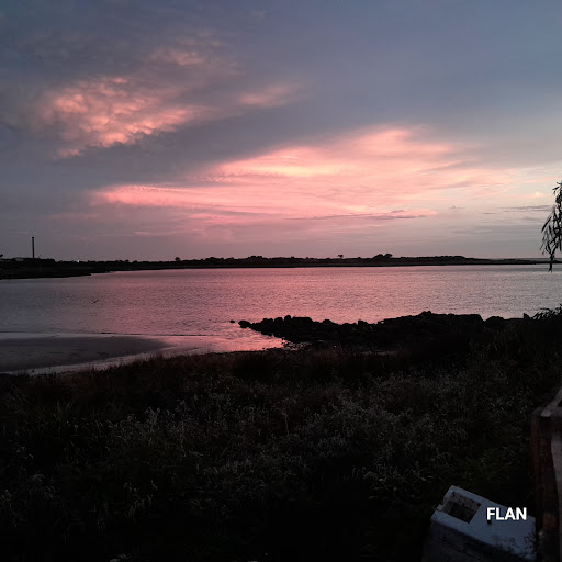 PESCADERÍA MAR flan