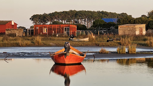 Pescaderia lo de Richard
