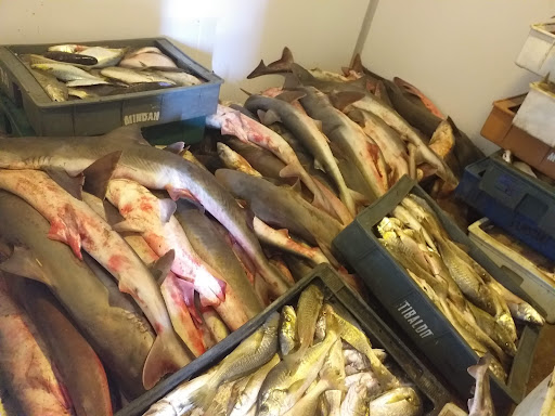 Romimar Pescados y Mariscos