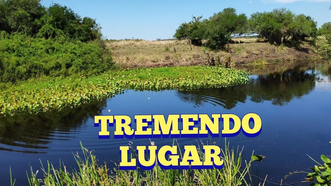 descubre las mejores pescaderias en durazno uruguay frescura y calidad al alcance