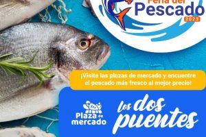 Feria de pescados frescos