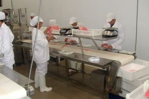 Industrial Serrana S.A.