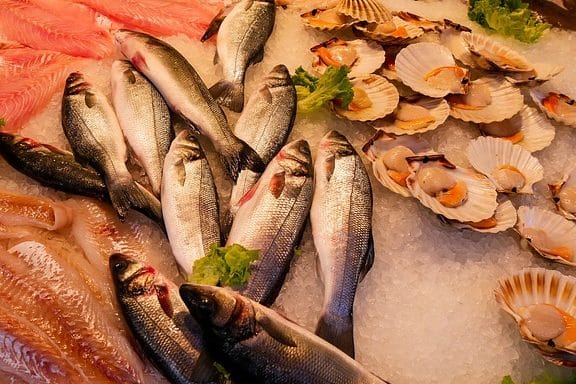 las mejores pescaderias en acegua uruguay guia completa para amantes del mariscos y pescados frescos