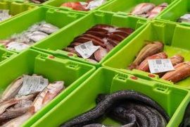 Las Mejores Pescaderías en Aigua, Uruguay: Descubre Dónde Comprar Pescado Fresco