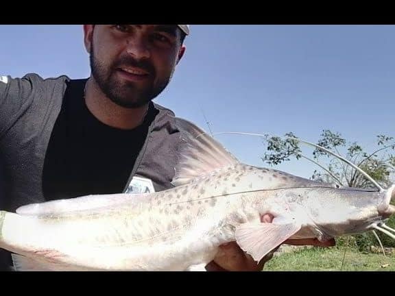 las mejores pescaderias en colonia del sacramento uruguay guia completa para amantes del marisco y la pesca fresca