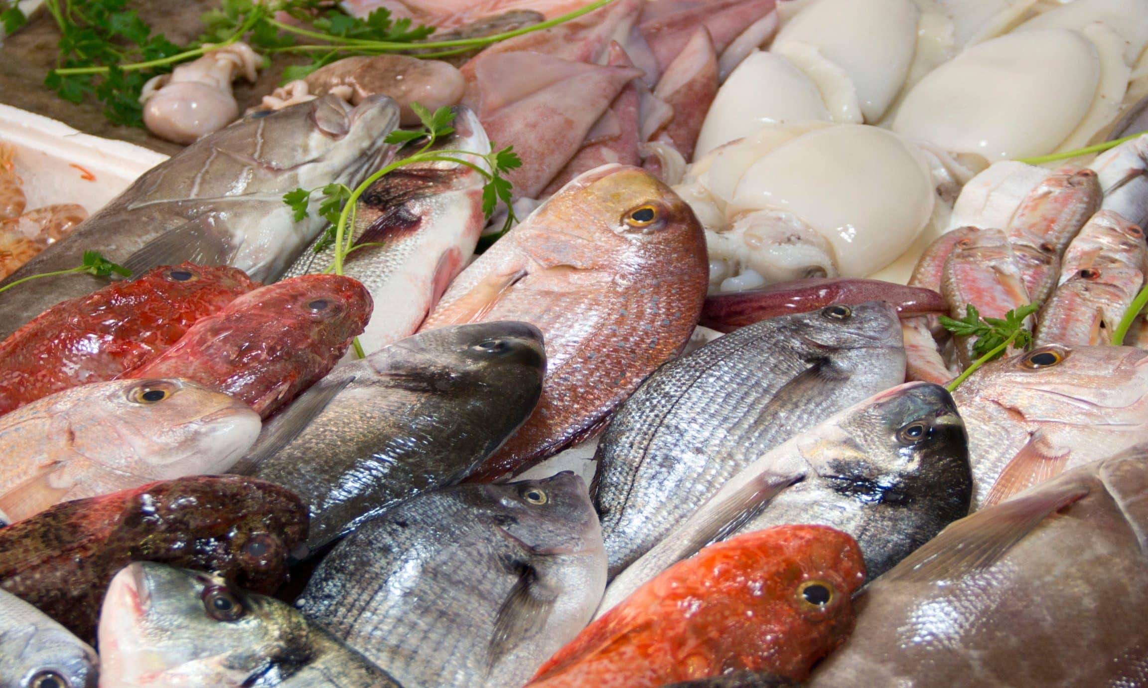 las mejores pescaderias en ismael cortinas uruguay guia completa para amantes del mariscos y pescados frescos
