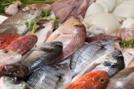 Las Mejores Pescaderías en Juan Lacaze, Uruguay: Guía Completa para Amantes del Mariscado Fresco