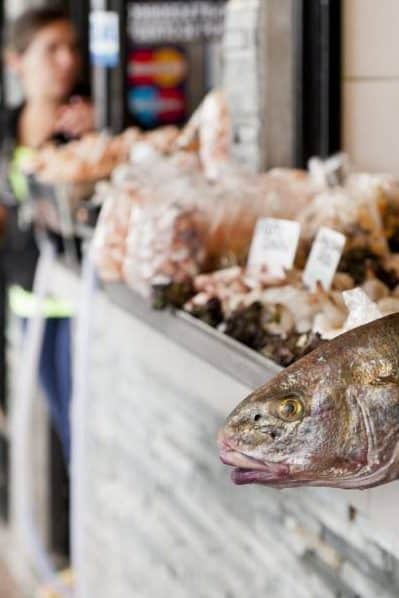las mejores pescaderias en punta del este uruguay guia completa para amantes del marisco