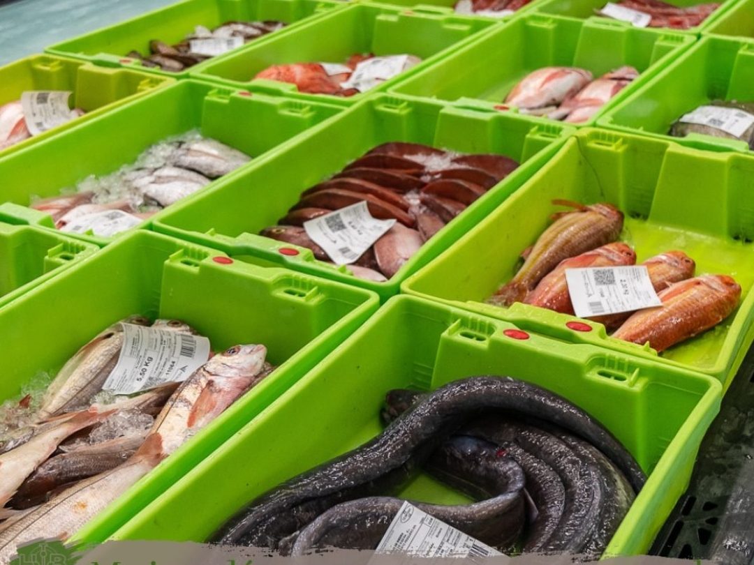 las mejores pescaderias en san jose uruguay frescura y calidad garantizada