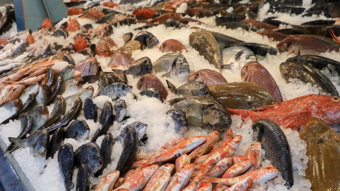 las mejores pescaderias en sarandi grande uruguay guia completa para comprar pescado fresco