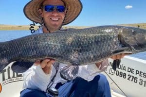 Las Mejores Pescaderias en Tarariras, Uruguay: Guía Completa para Amantes del Mariscado