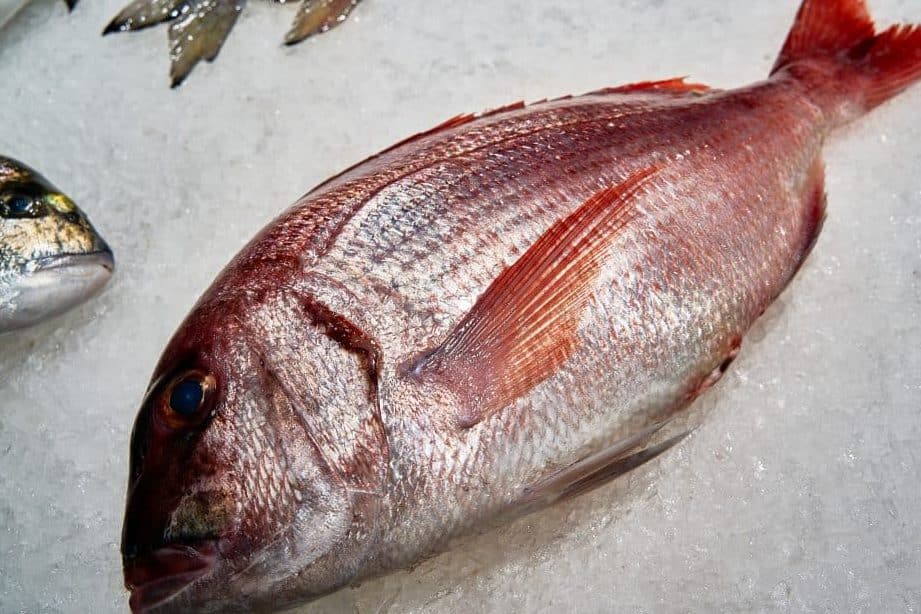 las mejores pescaderias en toledo uruguay descubre donde comprar pescado fresco y mariscos de calidad
