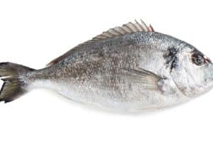 Pescaderia La Dorada