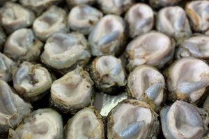 Pescadería Las Ostras